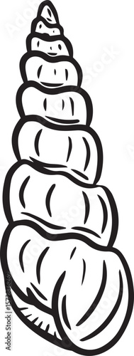 Hand drawn clipart illustration of seashell shell mollusc seaside shellfish 