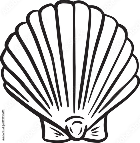 Hand drawn clipart illustration of seashell shell mollusc seaside shellfish 