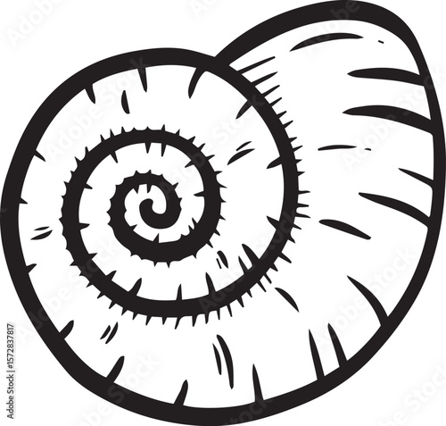 Hand drawn clipart illustration of seashell shell mollusc seaside shellfish 