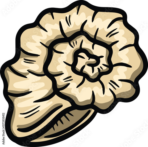 Hand drawn clipart illustration of seashell shell mollusc seaside shellfish 