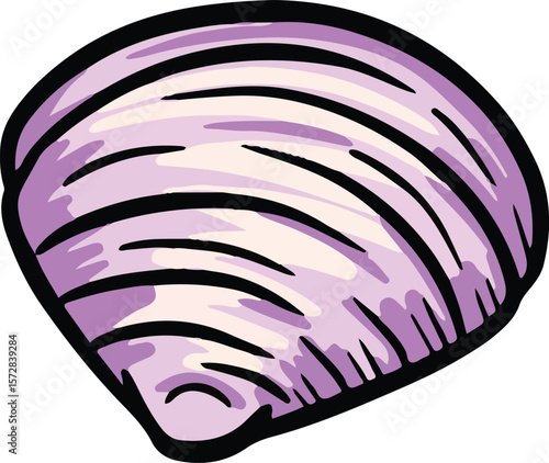 Hand drawn clipart illustration of seashell shell mollusc seaside shellfish 