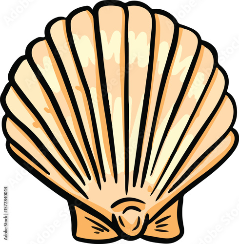 Hand drawn clipart illustration of seashell shell mollusc seaside shellfish 
