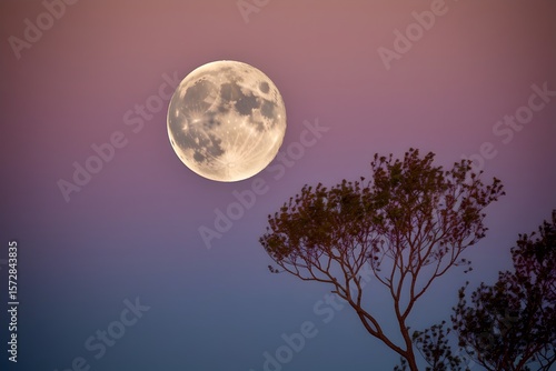 Nighttime's Celestial Beauty: The majestic full moon hangs serenely in the twilight sky, casting a soft glow over a silhouetted tree, creating a scene of tranquility and cosmic beauty.