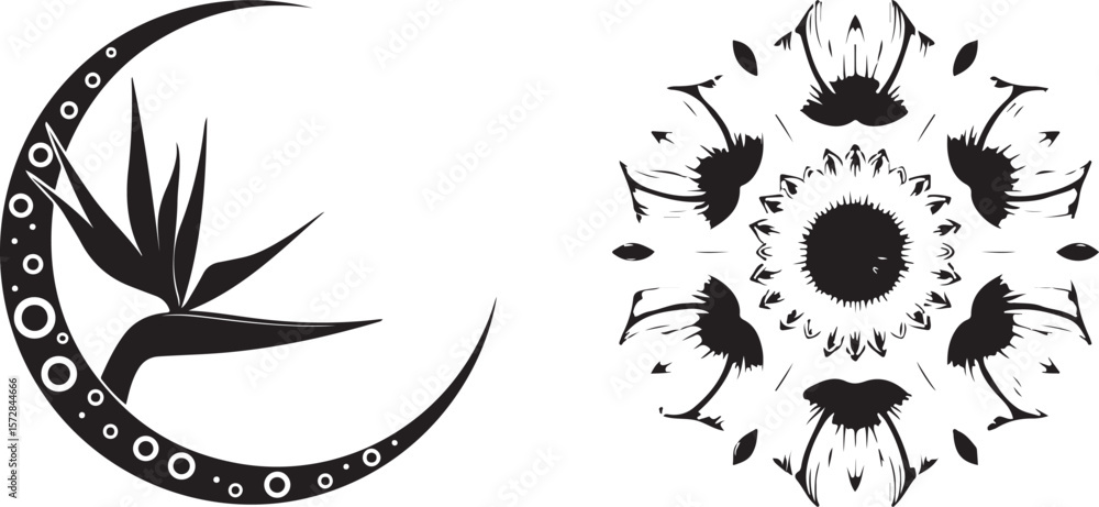 Fototapeta premium Mystical Witchy Celestial Vector Pack