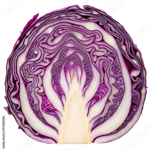 Cross-Section of a Vibrant Red Cabbage: Close-Up Image of Fresh Purple Cabbage Texture, Detailed Vegetable Food Photography, Healthy Eating