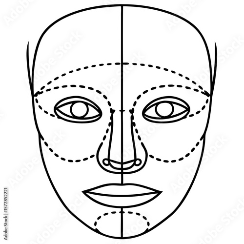 Face with correction lines for cosmetic surgery, detailed anatomical illustration for aesthetic procedures, and face with correction lines show the areas needing attention.