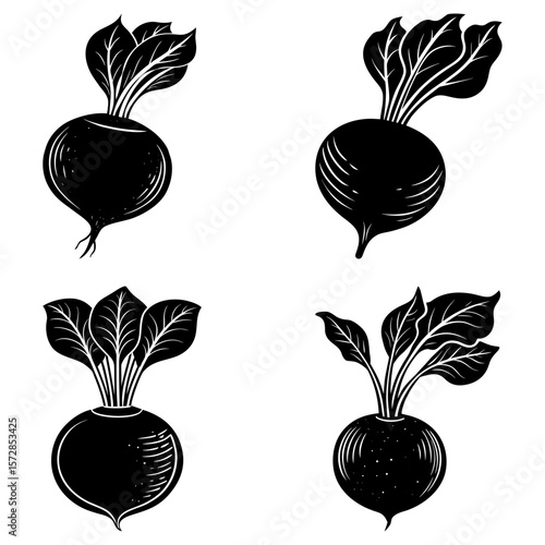 Four black and white illustrations of beets with leaves in different orientations and styles
