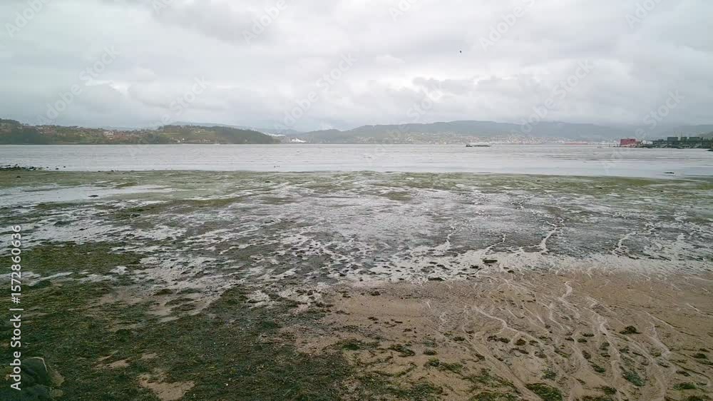Combarro galicia coastline showing low tide and cloudy sky and a little bird flying Combarro galicia coastline showing low tide and cloudy sky and a little bird flying