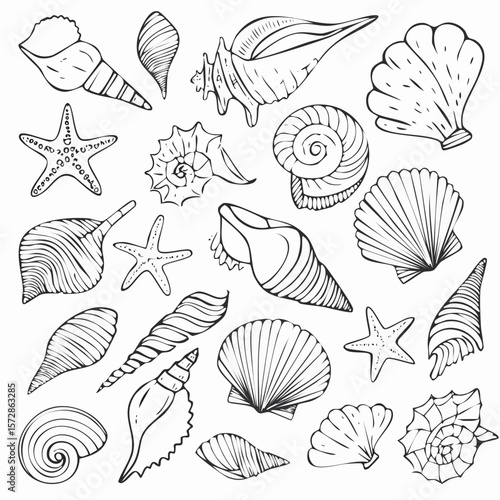 Set of hand drawn sea shells, conch, tentacle, starfish, corals. Outline marine drawings. Sketch silhouettes of seashore elements. Vector illustration