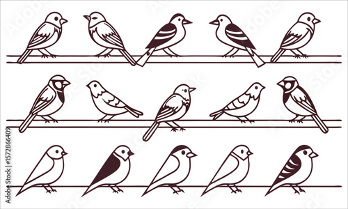 Small birds perched on branches perching avian
