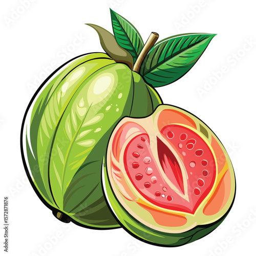 Colorful guava fruit illustration