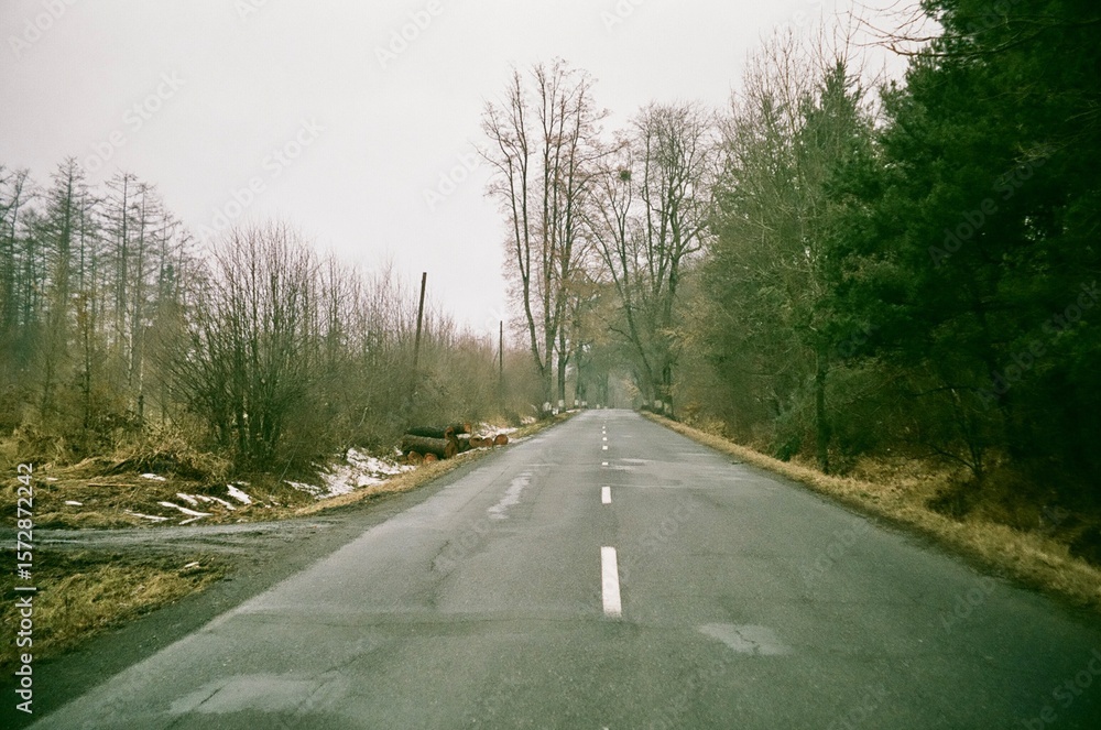 Naklejka premium Landscape with Snow and Road Leading Through Tree Alley