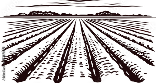 Plowed farmland landscape with distant tree line, hand drawn etching illustration of agricultural field