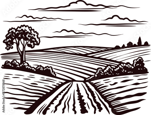 Hand drawn rural landscape with ploughed fields road tree and clouds vintage engraving illustration