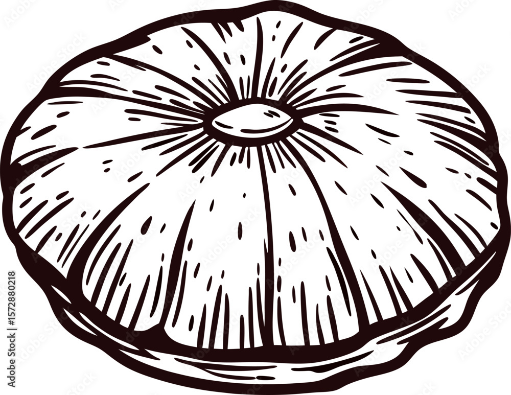 Obraz premium Hand drawn vintage pumpkin pie isolated on white background engraved dessert illustration with rustic details