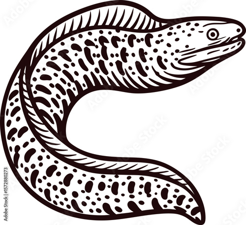 Vintage engraved spotted moray eel illustration isolated on white background in hand drawn