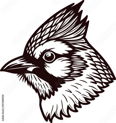 Detailed hand drawn cardinal bird head in black and white, vintage engraved illustration