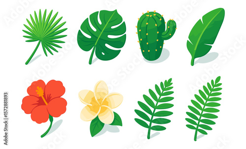 Vibrant tropical plants and flowers: palm, monstera, cactus, banana leaf, hibiscus, plumeria, fern