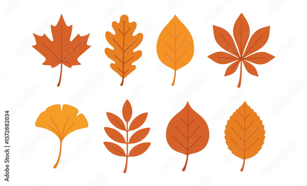 Colorful autumn leaves illustration featuring various leaf shapes Colorful autumn leaves illustration featuring various leaf shapes