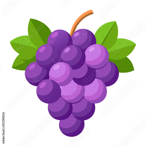 Fresh Purple Grapes Icon - Vector Fruit Illustration for Food & Drink