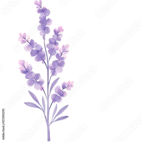 a single isolated beautiful purple watercolor flower on a transparent background
