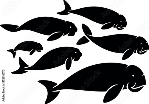 Dugong Herds silhouette on white background
