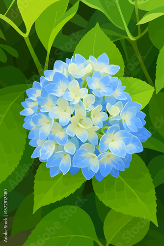 The image shows a vibrant cluster of hydrangea flowers in soft shades of blue and white. The petals are delicately blended, giving a gentle and fresh appearance. The surrounding background is filled w