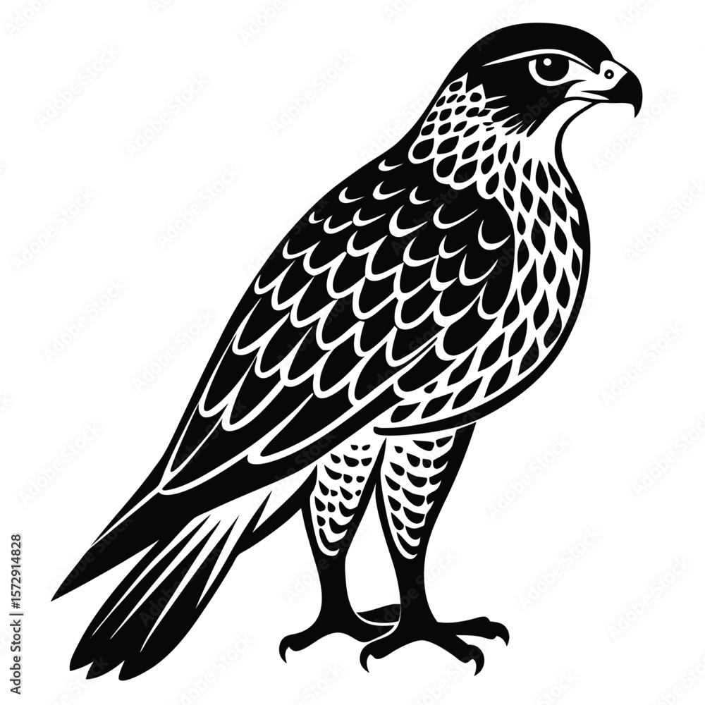 Fototapeta premium Hawk single bird vector shilhouette 
