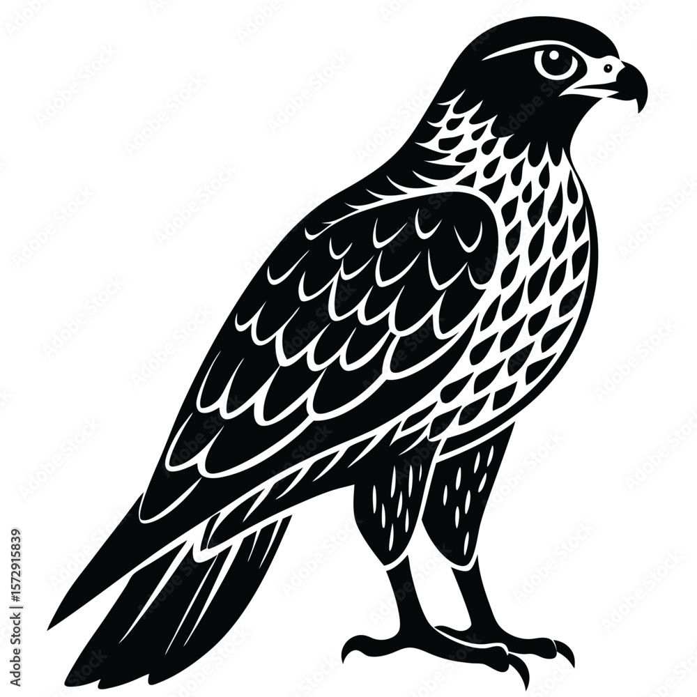 Fototapeta premium Hawk single bird vector shilhouette
