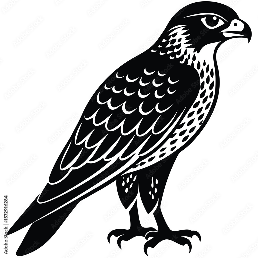 Fototapeta premium Hawk single bird vector shilhouette 