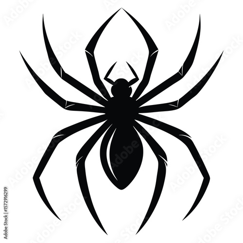 Spider Silhouette