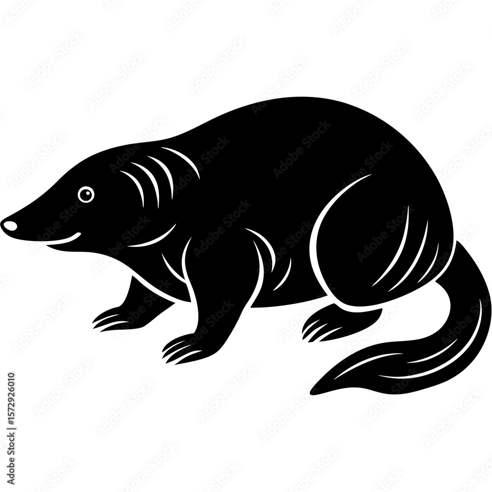 Obraz premium silhouette of a dolphin