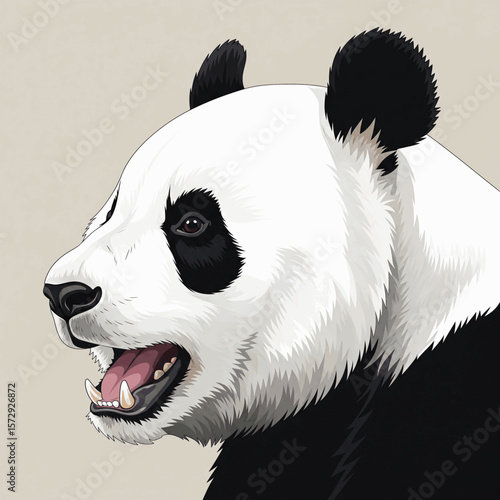 giant panda face muzzle and mouth 