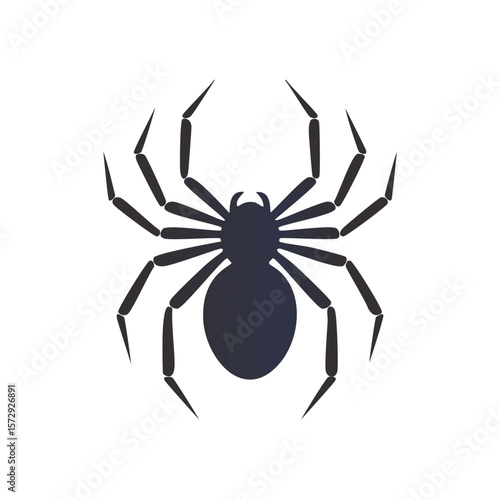 Black spider silhouette