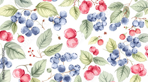 Watercolor Raspberry Background Sweet Berry Pattern on White