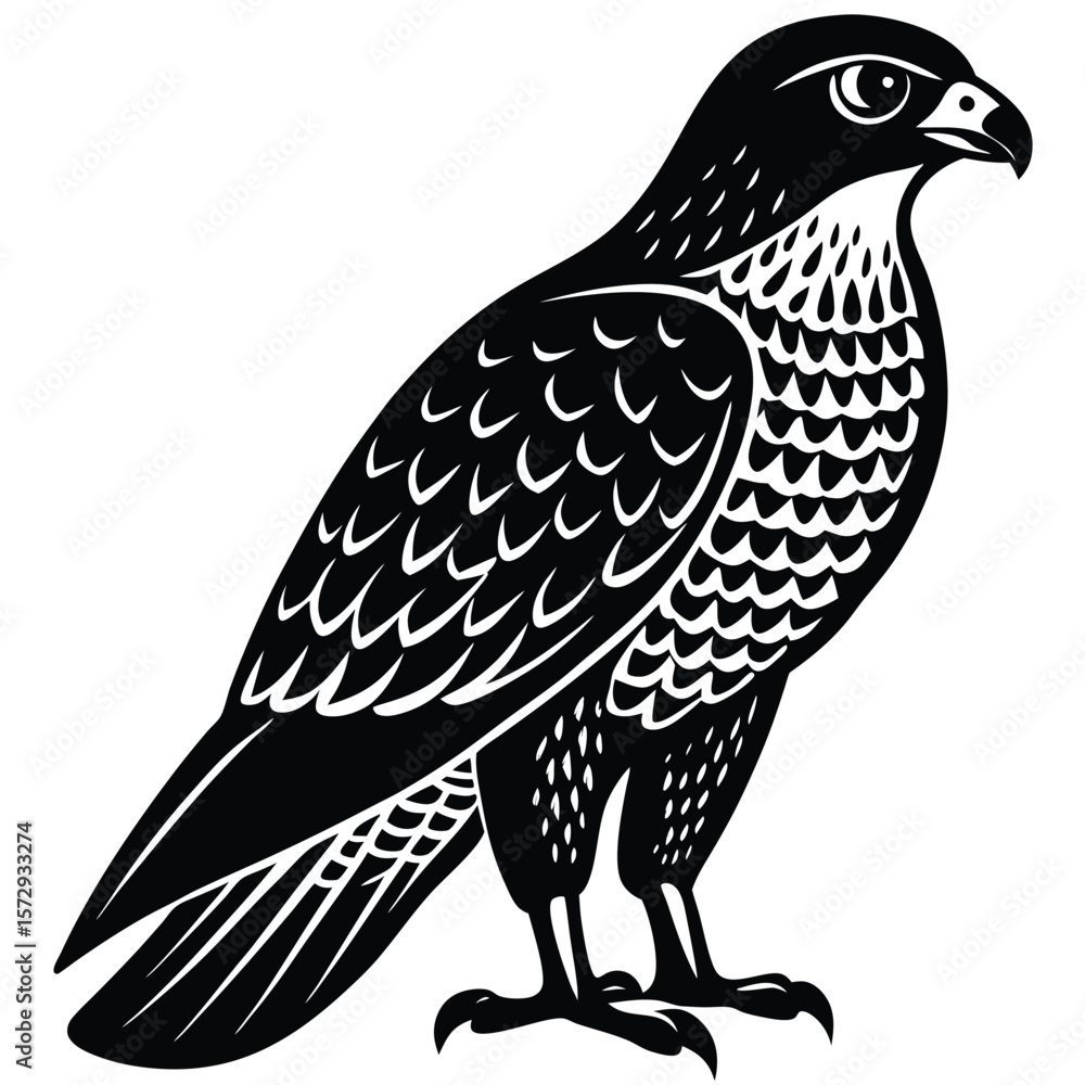 Fototapeta premium Hawk single bird vector shilhouette 