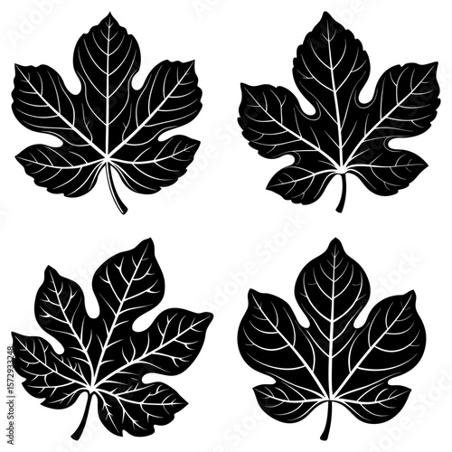 Four stylized fig leaves in black with white veins arranged on a white background in a square format