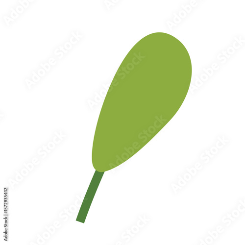 Green leaf with a short stalk highlighting simplicity and natural beauty.