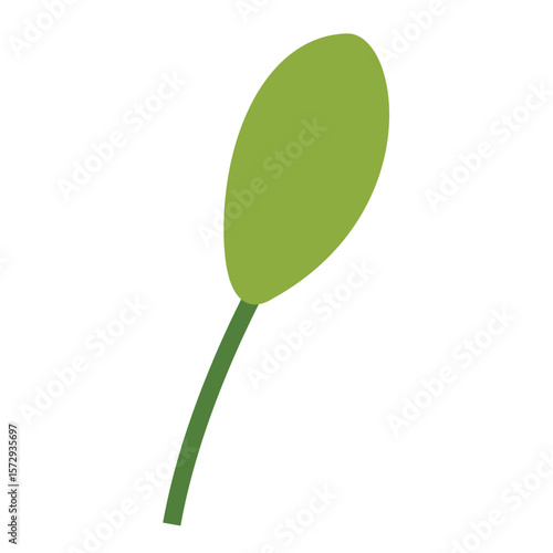 Green leaf with a short stalk highlighting simplicity and natural beauty.
