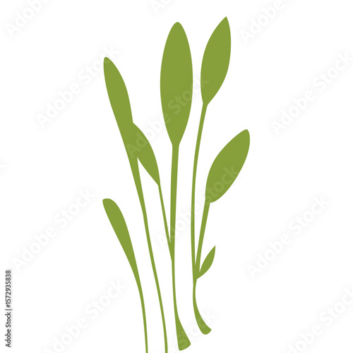 Green grass with long leaves symbolizing freshness and vitality in a natural setting.