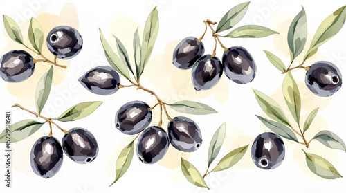 Black olives with leaves watercolor