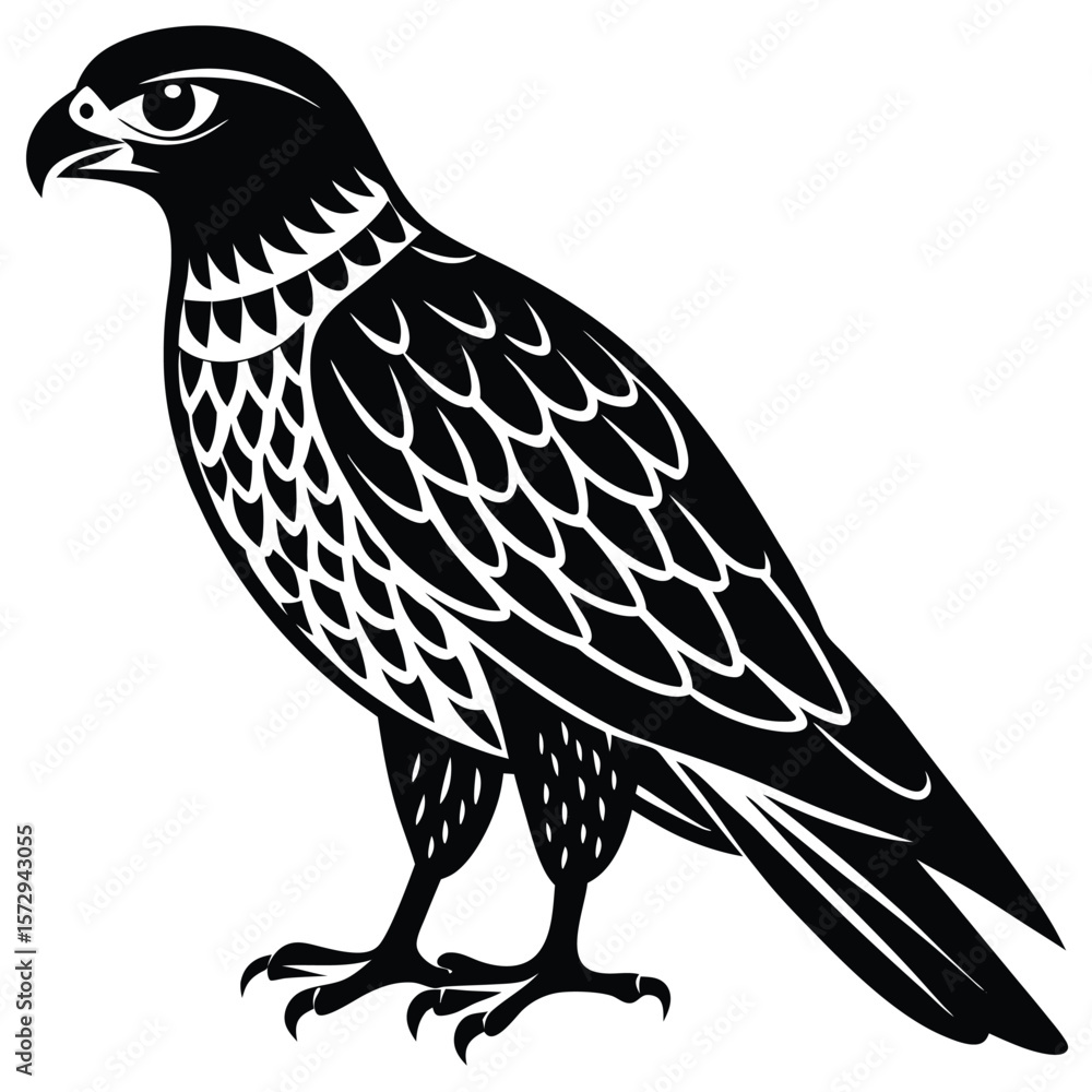 Obraz premium Hawk single bird vector shilhouette