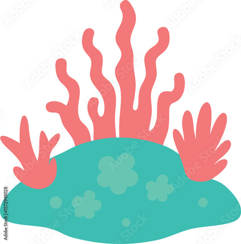 tiny coral reef