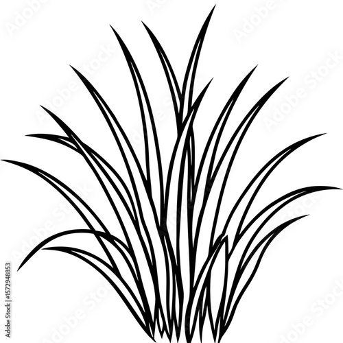 Bermuda Grass line art vector