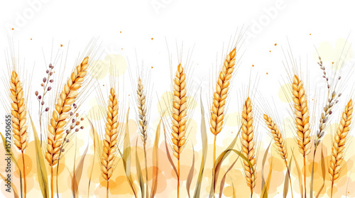 golden wheat field