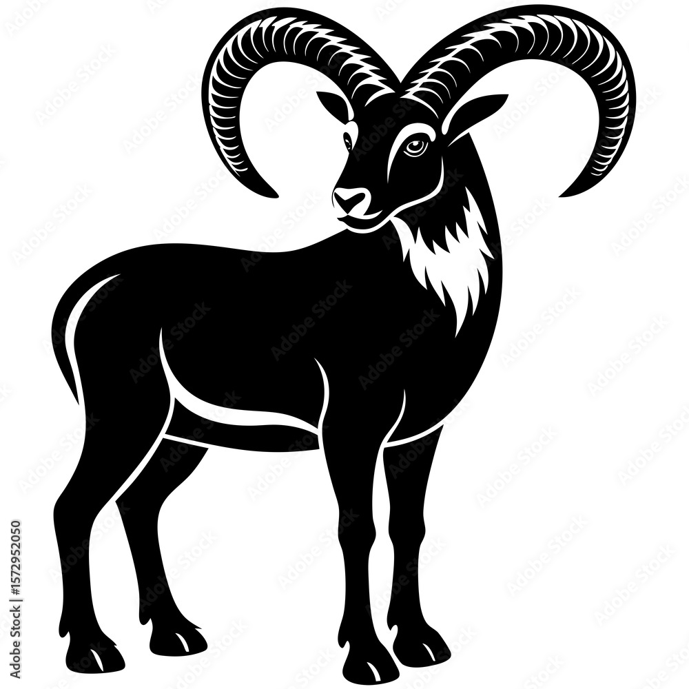 Obraz premium black and white goat