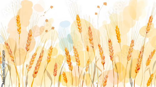 wheat field background