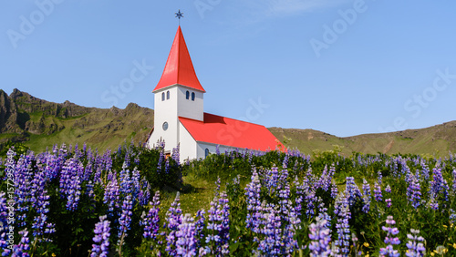 Fotografía A charming white church with a striking red roof stands surrounded by blooming p