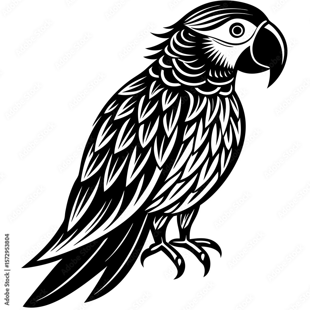 Obraz premium black and white parrot