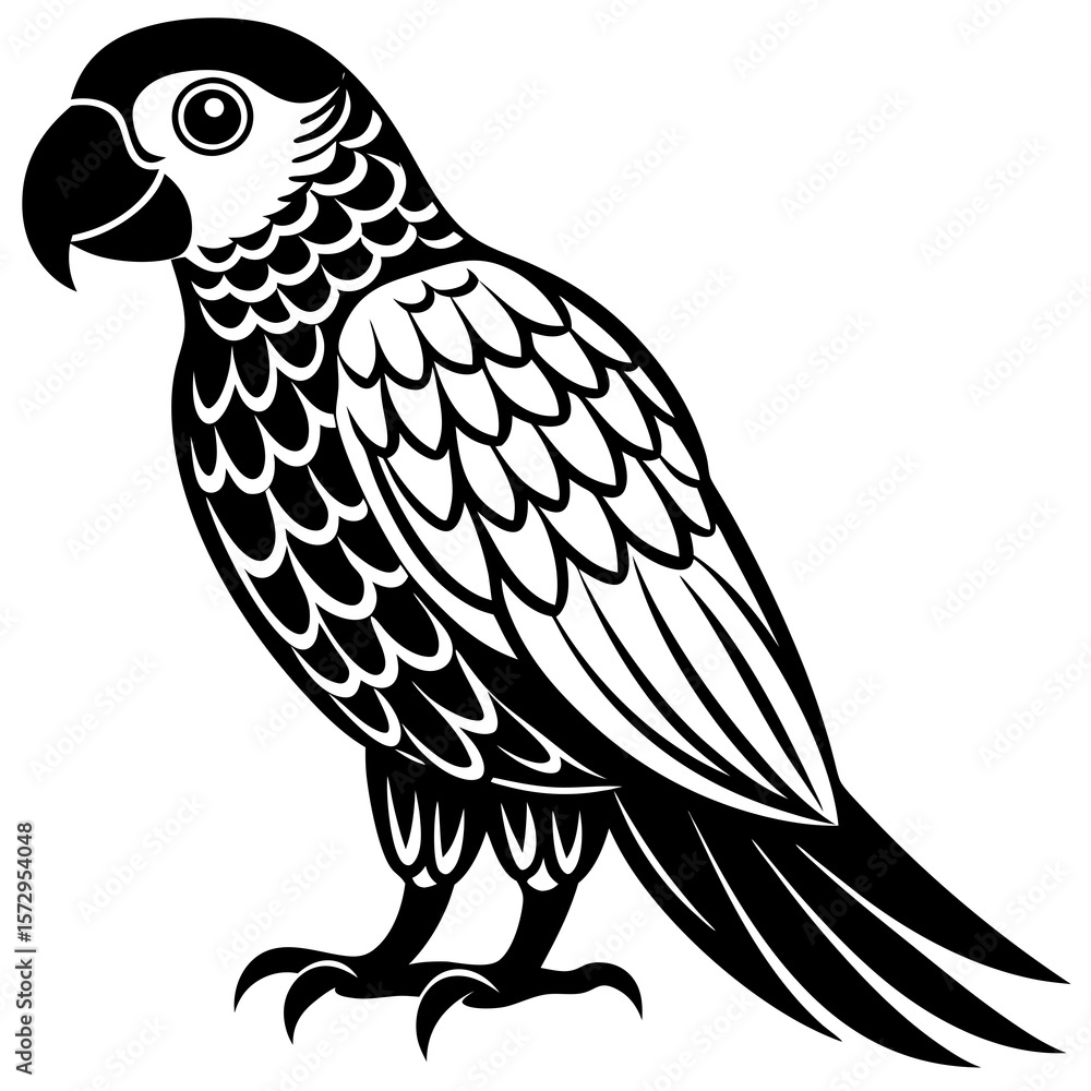 Fototapeta premium vector illustration of a parrot